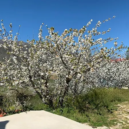 Mirador Del Jerte Сasa de vacaciones Valdastillas