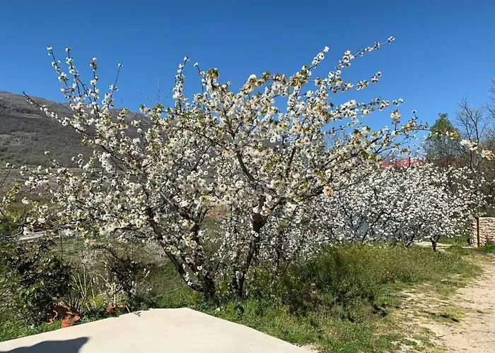 Mirador Del Jerte 펜션 발다스틸라스